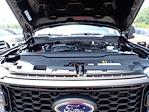 2023 Ford F-350 Crew Cab SRW 4x4 Pickup for sale #H5F2765A - photo 16