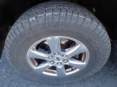 Used 2019 Ford F-150 - photo 1