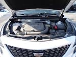 2020 Cadillac XT4 FWD SUV for sale #H5R7107B - photo 13
