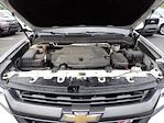 2017 Chevrolet Colorado Crew Cab 4x4 Pickup for sale #H5R7928A - photo 15