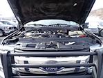 2017 Ford F-250 Crew Cab 4WD Pickup for sale #H6F8524A - photo 16