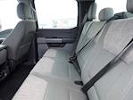 2024 Ford F-250 Crew Cab 4WD Pickup for sale #HP1042 - photo 11