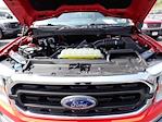 2021 Ford F-150 Regular Cab 4x4 Pickup for sale #HP9805 - photo 16