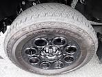 2025 Ford F-350 Crew Cab SRW 4WD Pickup for sale #HP9993 - photo 12