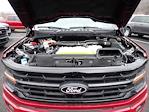 2024 Ford F-150 SuperCrew Cab 4WD Pickup for sale #HR1012 - photo 16
