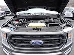 2023 Ford F-150 SuperCrew Cab 4WD Pickup for sale #HR1048 - photo 16