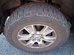 2016 Ford F-150 SuperCrew Cab 4x4 Pickup for sale #HR9919A - photo 9