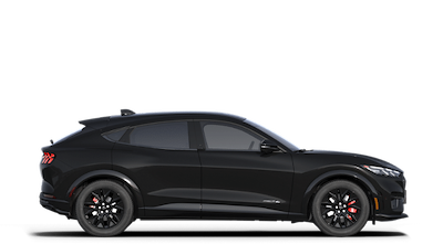 New 2025 Ford Mustang Mach-E - photo 1