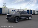 2025 Ford F-150 SuperCrew Cab 4x4 Pickup for sale #E23931 - photo 1