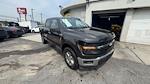 2024 Ford F-150 SuperCrew Cab 4WD Pickup for sale #F13545 - photo 9