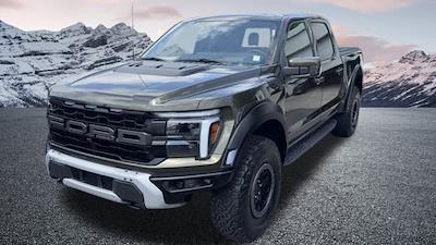 2024 Ford F-150 SuperCrew Cab 4WD Pickup for sale #F13694 - photo 1