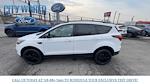 2019 Ford Escape 4WD SUV for sale #F13890 - photo 3
