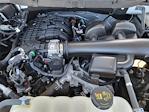 2022 Ford F-150 Regular Cab 4x2 Pickup for sale #18124MK1 - photo 26