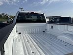 2025 Ford F-350 Regular Cab SRW 4WD Pickup for sale #F114T25 - photo 36