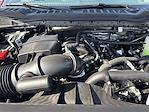 2025 Ford F-350 Crew Cab SRW 4WD Pickup for sale #F117T25 - photo 15