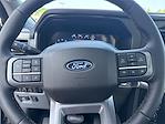 2025 Ford F-150 SuperCrew Cab 4WD Pickup for sale #F156T25 - photo 19