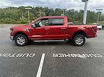 2024 Ford F-150 SuperCrew Cab 4WD, Pickup for sale #F168T24 - photo 4