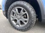 2024 Honda Passport AWD SUV for sale #F198T25A - photo 8