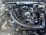 2025 Ford Bronco 4WD SUV for sale #F205T25 - photo 15