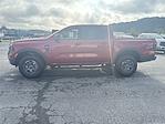 New 2025 Ford Ranger XLT SuperCrew Cab 4WD Pickup for sale #F206T25 - photo 5