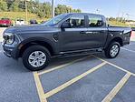 New 2025 Ford Ranger XL SuperCrew Cab 4WD Pickup for sale #F229T25 - photo 4