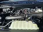 New 2025 Ford F-150 XLT SuperCrew Cab 4WD Pickup for sale #F236T25 - photo 16