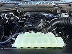 New 2025 Ford F-150 XLT SuperCrew Cab 4WD Pickup for sale #F238T25 - photo 16
