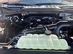 New 2025 Ford F-150 STX SuperCrew Cab 4WD Pickup for sale #F258T25 - photo 14