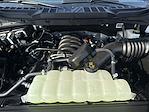 New 2025 Ford F-150 XLT SuperCrew Cab 4WD Pickup for sale #F260T25 - photo 16