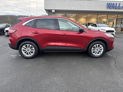 Used 2022 Ford Escape SE for sale #F274T25A - photo 2