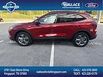 New 2025 Ford Escape ST-Line AWD SUV for sale #F285T25 - photo 1