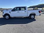 New 2025 Ford F-150 XL SuperCrew Cab Pickup for sale #F301T25 - photo 18