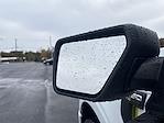 New 2025 Ford F-150 STX SuperCrew Cab 4WD Pickup for sale #F319T25 - photo 17