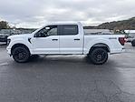 New 2025 Ford F-150 STX SuperCrew Cab 4WD Pickup for sale #F319T25 - photo 3