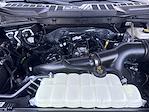 New 2025 Ford F-150 STX SuperCrew Cab for sale #F343T25 - photo 14