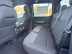 New 2025 Ford F-150 STX SuperCrew Cab for sale #F343T25 - photo 24