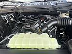 2025 Ford F-150 SuperCrew Cab 4WD Pickup for sale #F355T25 - photo 16