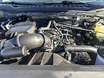 New 2026 Ford F-250 XLT Crew Cab for sale #F52T26 - photo 3