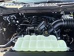 New 2026 Ford F-150 XLT SuperCrew Cab for sale #F80T26 - photo 16