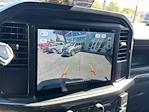 New 2025 Ford F-150 STX SuperCrew Cab 4WD Pickup for sale #8F0247 - photo 13