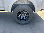 2020 Ford F-350 Crew Cab DRW 4WD Pickup for sale #8F0295A - photo 15