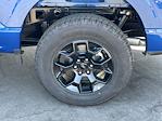 2025 Ford F-150 SuperCrew Cab 4WD Pickup for sale #8F0393 - photo 15