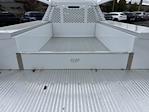 2025 Ford F-350 Regular Cab DRW 4WD Cab Chassis for sale #8F0443 - photo 4