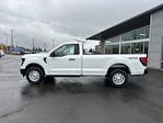 2025 Ford F-150 Regular Cab 4WD Pickup for sale #8F0532 - photo 1