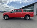 2019 Ford F-150 SuperCrew Cab 4WD Pickup for sale #8P0162 - photo 3