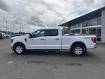 2023 Ford F-150 SuperCrew Cab 4WD Pickup for sale #8P0170 - photo 3