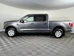 2023 Ford F-150 SuperCrew Cab 4WD Pickup for sale #2P0127 - photo 8