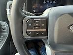 2023 Ford F-250 Crew Cab 4WD Pickup for sale #B161634A2 - photo 19