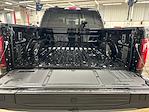 2025 Ford F-150 SuperCrew Cab 4x4 Pickup for sale #S3137 - photo 15