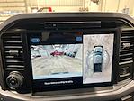 New 2025 Ford F-150 XLT SuperCrew Cab 4x4 Pickup for sale #S3287 - photo 17